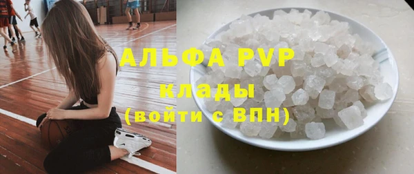 гидра Горно-Алтайск