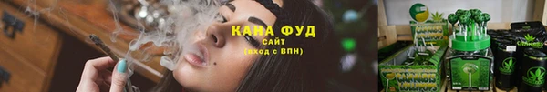 гашик Горнозаводск