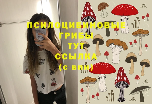 первитин Горняк