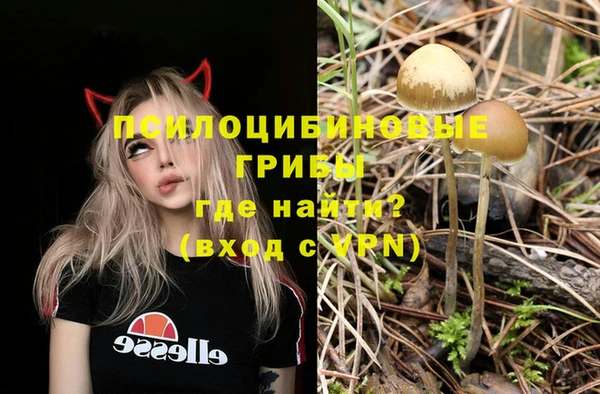 сатива Вязьма