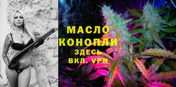 гидра Горно-Алтайск