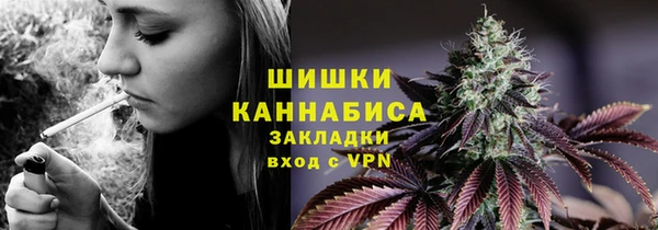 гидра Горно-Алтайск