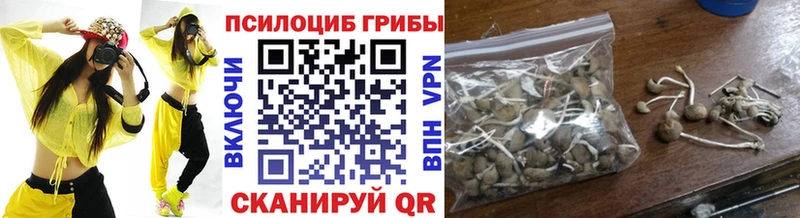 Псилоцибиновые грибы Psilocybe  Заозёрный 